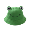 Bob-grenouille-vert-sur-fond-blanc