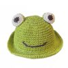 Bob-chapeau-de-paille-grenouille-couleur-vert-sur-un-fond-blanc